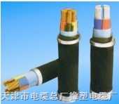 鎧裝電纜規(guī)格齊全型號(hào)種類多KVV23P2、KVV23PL、KVV2