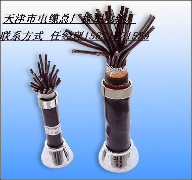 KVV KVVR.KVVRP礦用控制電纜|計算機電纜的詳細(xì)資料