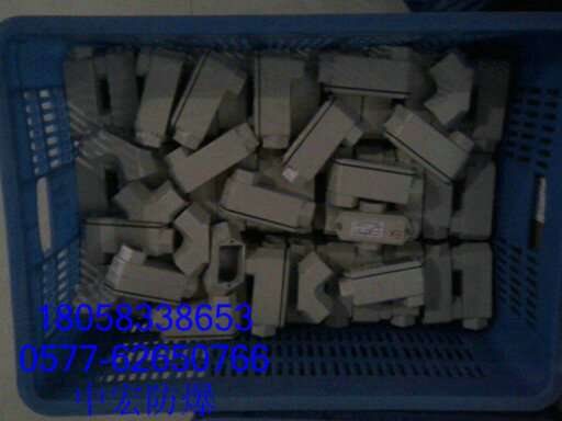 防爆防腐接線盒，電機(jī)用防爆接線盒，直通防爆接線盒，接線盒
