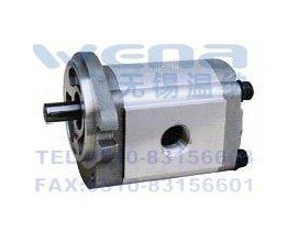 CBS-D308-FHR,CBS-D308-FSL 齒輪泵