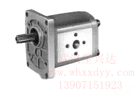 供應(yīng)齒輪泵CBT-E532星興達(dá)