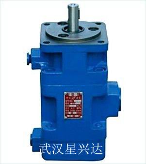 YB1-80/6