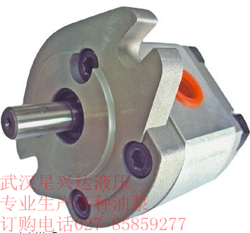 星興達供應HGP-22A-F1111R齒輪泵