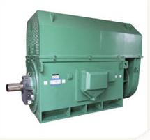 YKK系列高壓三相異步電動(dòng)機(jī)|西瑪電機(jī)|高壓電機(jī)|異步電機(jī)|三相電機(jī)