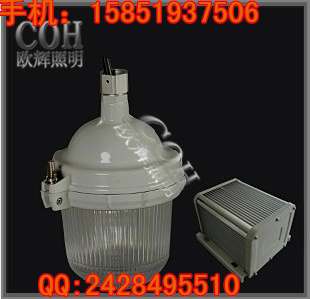 防眩應(yīng)急泛光燈 分體式的泛光燈