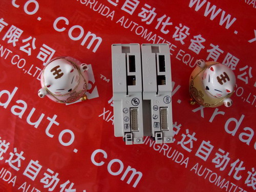 Schunk PPG-F 65 S，204674 CAT50好貨