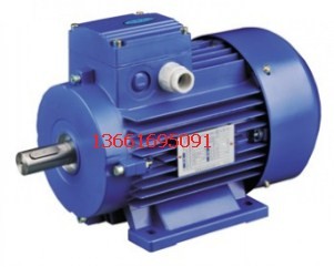 “紫光電機(jī)”-清華紫光電機(jī) -紫光馬達(dá)用于工業(yè)傳動-高效率紫光電機(jī)