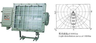 GC51防水防塵方燈、BSD 系列防爆投光燈