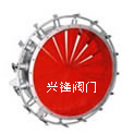 風(fēng)機(jī)專(zhuān)用調(diào)節(jié)閥