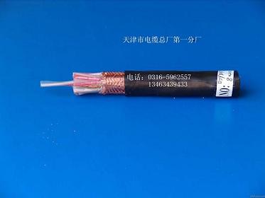 計(jì)算機(jī)屏蔽電纜  天津計(jì)算機(jī)屏蔽電纜 計(jì)算機(jī)屏蔽電纜型號(hào)