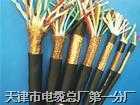 雙屏雙絞屏蔽阻燃電纜DJYJP3VP3集散型信號電纜