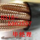 ZRA-DYVRP2X2X1.5 阻燃電子計(jì)算機(jī)電纜