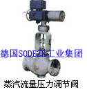 廠家直銷德國進口蒸汽流量壓力調(diào)節(jié)閥