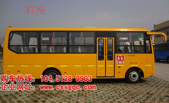 小型小學(xué)生校車(chē)生產(chǎn)供應(yīng)商