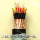 KVVP2屏蔽控制電纜 KVVP2電纜（天聯(lián)牌）
