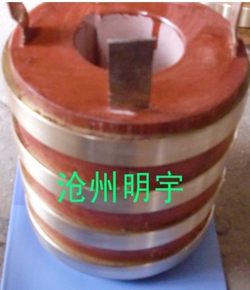 沈陽異步高壓電機(jī)滑環(huán)