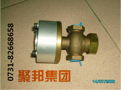 壽力聯(lián)軸器驅(qū)動(dòng)元件46999