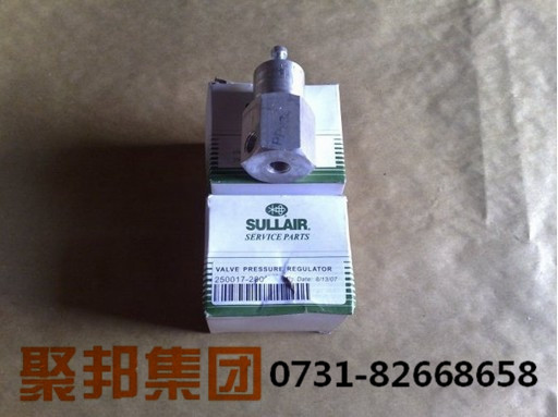 壽力初級油分離芯02250061-137