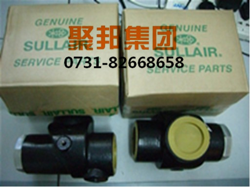 壽力溫控閥芯250028-726