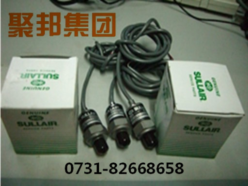 壽力溫度表250024-942