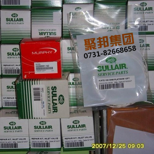 壽力計時器88290006-283