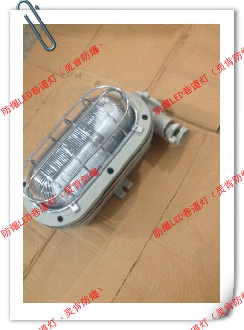 DGC35/127N(B)，DGC35/127N(B) 礦用支架燈
