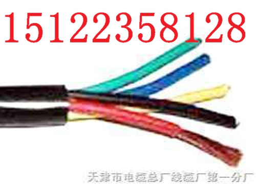 （國標(biāo)）RVV 2*0.2 雙絞線價(jià)格