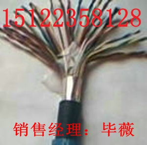 今日更新供應(yīng)DJYVP-2X2X1.0(圖)最新報(bào)價(jià)
