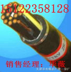(天津)MHYV煤礦用瓦斯監(jiān)控電纜（天津)MHYV (1-10對(duì))