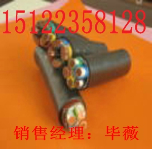 (天津)【熱銷MHYV監(jiān)控電纜】（天津)【銷售礦用監(jiān)控線】價格