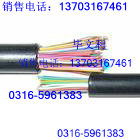 RS-485通信總線(xiàn) 2X0.5 2X1.0 2X1.5