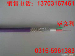 DJYVP-300/500　屏蔽電纜結構
