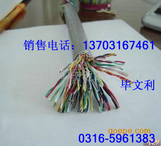HYA23電纜，鎧裝通信電纜HYA22