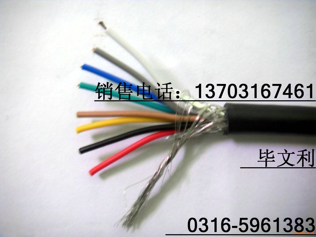 屏蔽信號(hào)線(xiàn)RVVP|屏蔽信號(hào)電纜RVVP