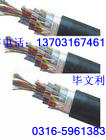電話線，天津電話線，電話線廠家(圖)