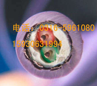 西門子PROFIBUS總線電纜6XV1830-0EH10