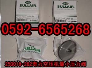 壽力最小壓力閥維修包250018-456生產(chǎn)供應(yīng)商