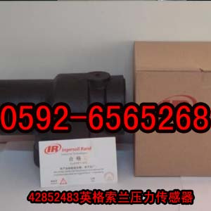 供應(yīng)英格索蘭最小壓力閥原裝正品