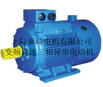 什么品牌的電機質(zhì)量好|優(yōu)質(zhì)電機|標(biāo)準(zhǔn)電機（圖）亞琦電機