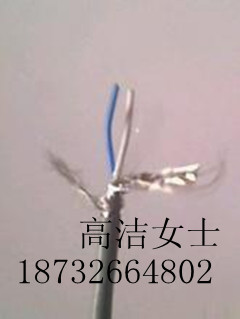 廠家提供阻燃屏蔽雙絞線規(guī)格型號(hào)
