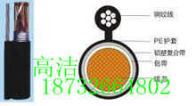 誠(chéng)信為本-100對(duì)架空電話線廠家