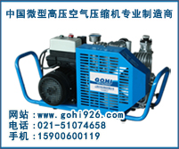 潛水高壓呼吸壓縮機(jī)/微型潛水空氣壓縮機(jī)/小型便攜式潛水呼吸空壓機(jī)