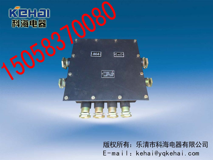 JHH50-8礦用本安通訊接線盒，礦用電話分接線盒