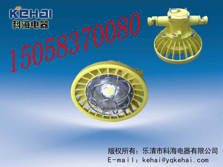 礦用隔爆型LED巷道燈，礦用LED巷道燈價格，DGS-18/127