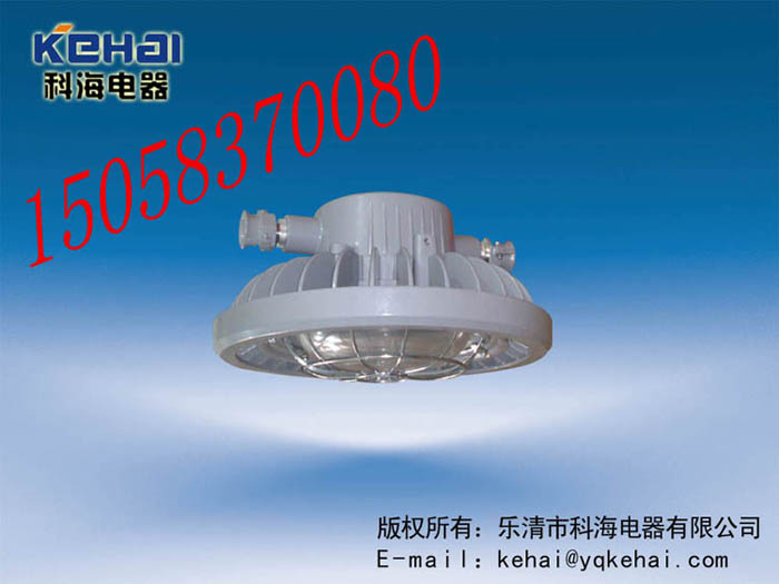 DGS70/127L(A)礦用隔爆型LED巷道燈，礦用LED巷道燈