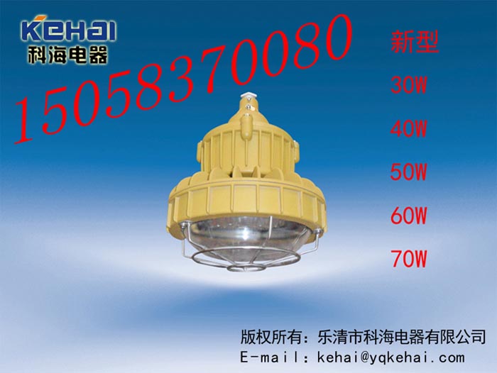 免維護(hù)LED防爆燈價(jià)格，BED-II40WLED防爆燈圖，免維護(hù)LED