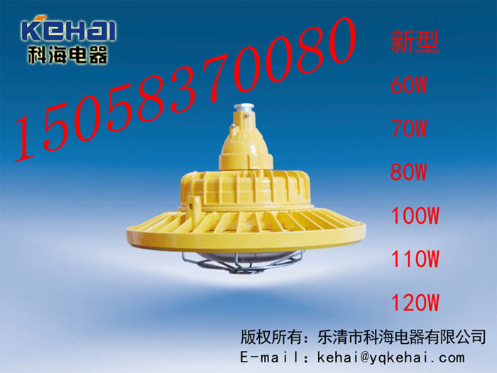 BED-60W免維護LED防爆燈BED-60W，免維護LED防爆燈批發(fā)