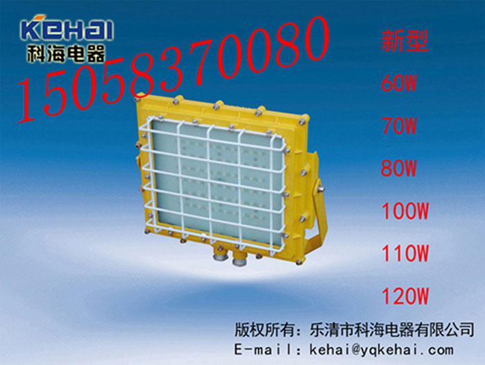 BED-80WLED防爆燈，BED-80W免維護(hù)LED防爆燈
