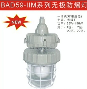 BAD83防爆無(wú)極燈|BAD83防爆高效節(jié)能電磁感應(yīng)燈