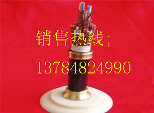 大對(duì)數(shù)電纜價(jià)格對(duì)比